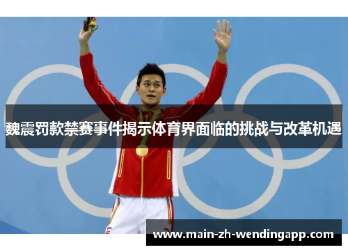 魏震罚款禁赛事件揭示体育界面临的挑战与改革机遇